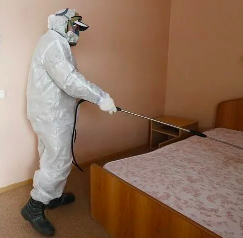 дезинфекция после смерти Лесопарковая дезинфекция после смерти