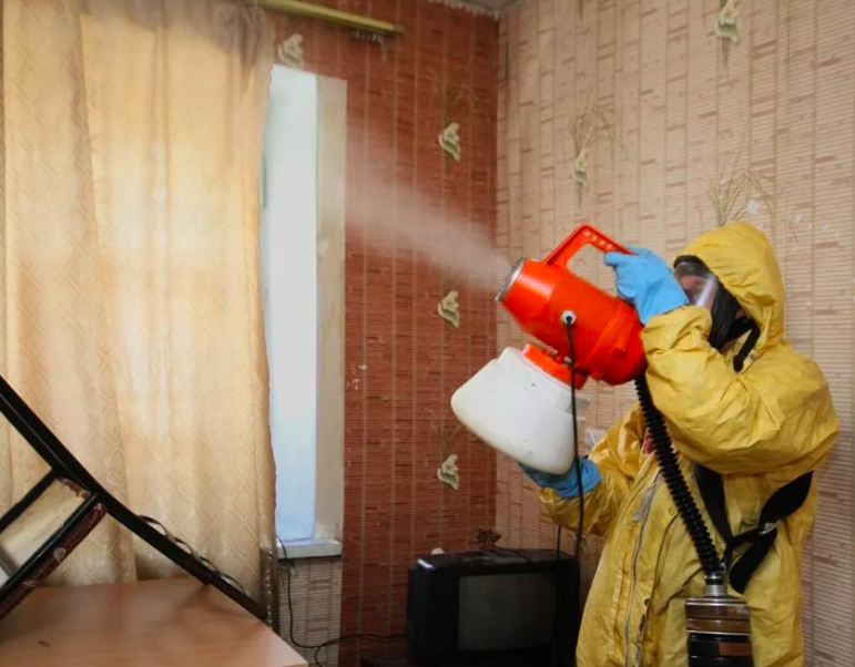 дезинфекция квартиры после смерти Лесопарковая дезинфекция квартиры после смерти